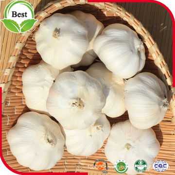 New Pure Fresh White Garlic (4.5-5.0-5.5-6.0cm)